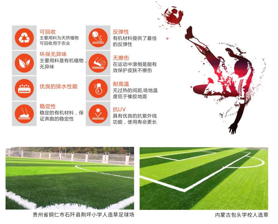 1558342426135748.jpg TIM截图20190520165334.jpg